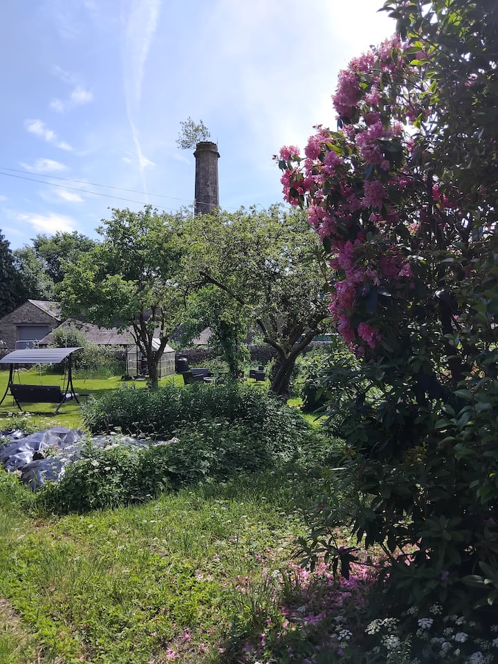 Pink blossom on a flowering shrub with the lawn and garden swing beyond